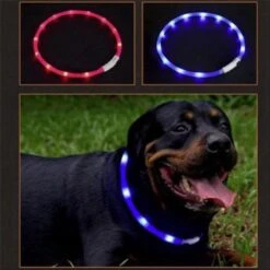 Merkloos Lichtgevende Honden Halsband Met Licht - LED Halsband USB Oplaadbaar - 50 Cm - Rood -Huisdierbenodigdheden 1200x1200 2953