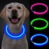 Led Halsband - Honden - Blauwe Halsband - 50 Cm - Lichtgevende Halsband Hond - Drie Standen - Spatwaterdicht- USB Oplaadbaar - Verstelbaar - Blauw