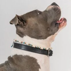 Boef The Label - Anti-tekenband - Tekenband - EM Kralen - Blauw - Maat M - 38 Tot 48cm -Huisdierbenodigdheden 1200x1200 2958