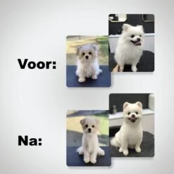 VoordeelShop 7-Delige Huisdier Knipset Met Etui - Trimmen Hond - Honden Schaar - Effileerschaar Hond - Huisdier Trimmer - Huisdier Knippen - Knipschaar Haar - Haar Schaar - Kapper - Kapperset - Scharenset 27 VoordeelShop 7-Delige Huisdier Knipset Met Etui - Trimmen Hond - Honden Schaar - Effileerschaar Hond - Huisdier Trimmer - Huisdier Knippen - Knipschaar Haar - Haar Schaar - Kapper - Kapperset - Scharenset -Huisdierbenodigdheden 1200x1200 296