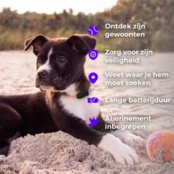 Invoxia - Huisdier GPS Tracker - Zonder Simkaart - Tot 1 Maand Batterijduur - Track & Trace Volgsysteem - Zwart -Huisdierbenodigdheden 1200x1200 2962