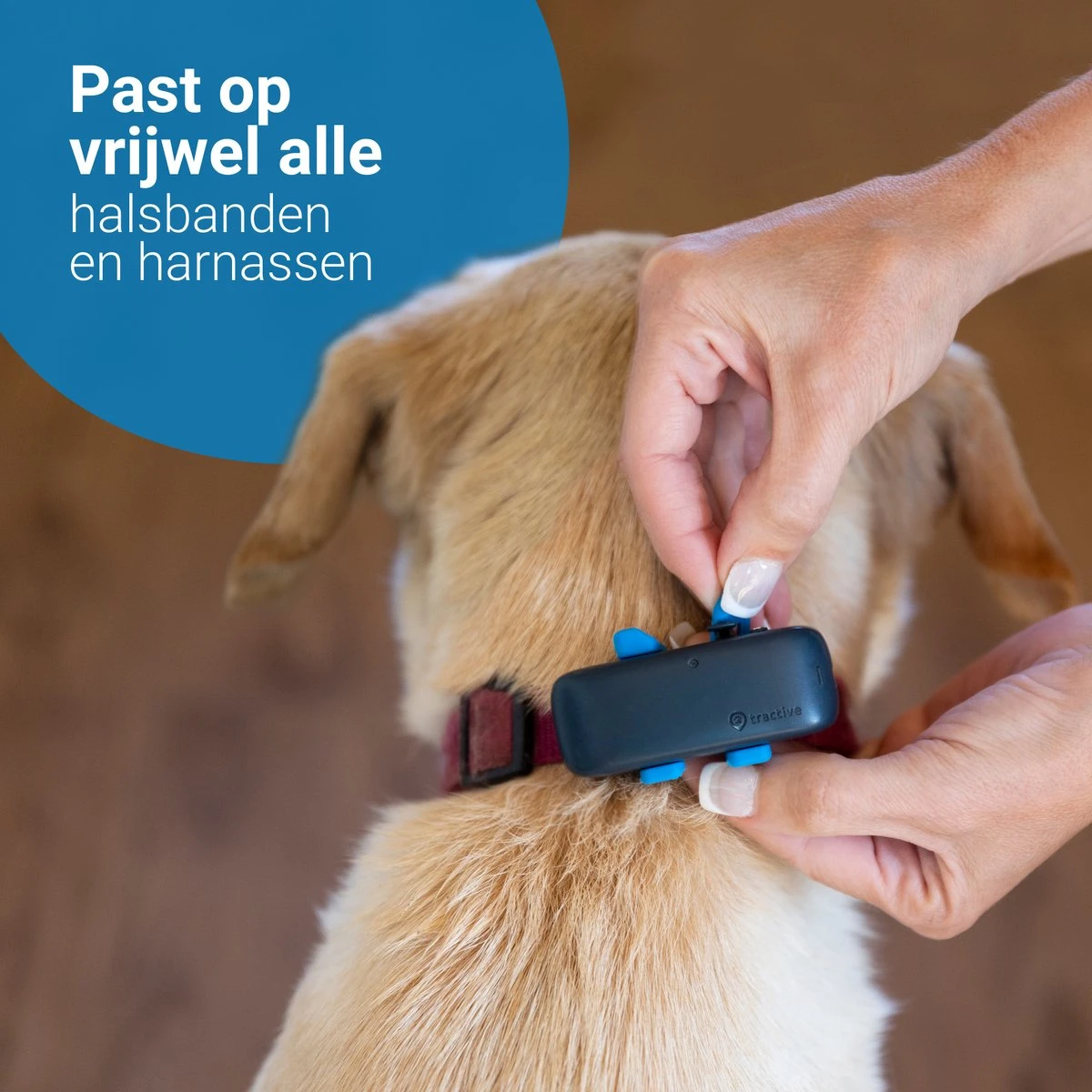Tractive GPS DOG 4 - GPS Tracker Voor Honden & Activiteitenmonitor - Past Op Meeste Halsbanden - Donkerblauw 6 Tractive GPS DOG 4 - GPS Tracker Voor Honden & Activiteitenmonitor - Past Op Meeste Halsbanden - Donkerblauw - Afbeelding 6
