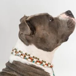 Boef The Label - Anti-tekenband - Tekenband - EM Kralen - Blauw - Maat L - 48 Tot 55cm -Huisdierbenodigdheden 1200x1200 2986