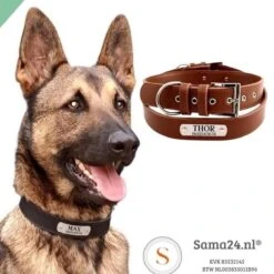 Honden Halsband Met Naam En Telefoonnummer - Leer 100% - Hondenhalsband Met ID TAG - Maat M