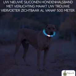 Blauwe LED Halsband Voor Hond Small / Blauw Verlichte Halsband Hond / Lichtgevende Halsband Hond / Diverse Formaten Beschikaar! Oplaadbaar Via USB / USB Halsband LED 13 Blauwe LED Halsband Voor Hond Small / Blauw Verlichte Halsband Hond / Lichtgevende Halsband Hond / Diverse Formaten Beschikaar! Oplaadbaar Via USB / USB Halsband LED -Huisdierbenodigdheden 1200x1200 3004