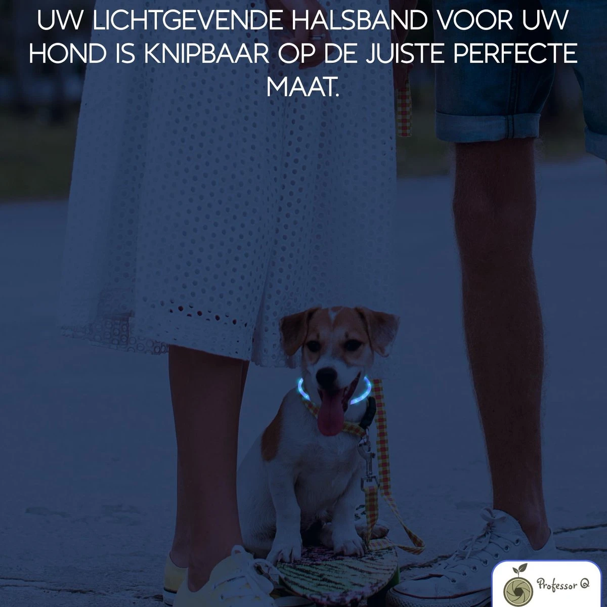 Blauwe LED Halsband Voor Hond Small / Blauw Verlichte Halsband Hond / Lichtgevende Halsband Hond / Diverse Formaten Beschikaar! Oplaadbaar Via USB / USB Halsband LED 6 Blauwe LED Halsband Voor Hond Small / Blauw Verlichte Halsband Hond / Lichtgevende Halsband Hond / Diverse Formaten Beschikaar! Oplaadbaar Via USB / USB Halsband LED - Afbeelding 6
