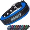 Halsband Hond Met Gesp - Reflecterend - Blauw - Maat XL - Oersterk