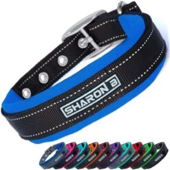 Halsband Hond Met Gesp - Reflecterend - Blauw - Maat XL - Oersterk