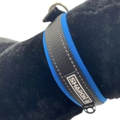 Halsband Hond Met Gesp - Reflecterend - Blauw - Maat XL - Oersterk -Huisdierbenodigdheden 1200x1200 3010
