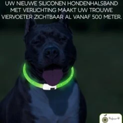 Groene LED Halsband Voor Honden XL / Groen Verlichte Halsband / Lichtgevende Halsband Hond / Led Halsband Hond - Oplaadbaar Via USB / USB Halsband LED 14 Groene LED Halsband Voor Honden XL / Groen Verlichte Halsband / Lichtgevende Halsband Hond / Led Halsband Hond - Oplaadbaar Via USB / USB Halsband LED -Huisdierbenodigdheden 1200x1200 3019