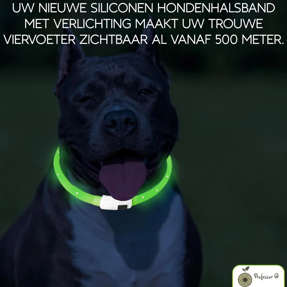 Groene LED Halsband Voor Honden XL / Groen Verlichte Halsband / Lichtgevende Halsband Hond / Led Halsband Hond - Oplaadbaar Via USB / USB Halsband LED 6 Groene LED Halsband Voor Honden XL / Groen Verlichte Halsband / Lichtgevende Halsband Hond / Led Halsband Hond - Oplaadbaar Via USB / USB Halsband LED - Afbeelding 6