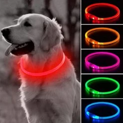 Led Halsband Hond Usb Oplaadbaar 20-70 CM - Rood - Led Honden Halsband - Extra Small Tm Extra Large - Universeel - Honden Lampje - Honden Licht - Honden Veiligheid - Lichtgevende Halsband Hond