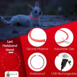 Led Halsband Hond Usb Oplaadbaar 20-70 CM - Rood - Led Honden Halsband - Extra Small Tm Extra Large - Universeel - Honden Lampje - Honden Licht - Honden Veiligheid - Lichtgevende Halsband Hond -Huisdierbenodigdheden 1200x1200 3025