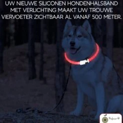 Led Halsband Hond Usb Oplaadbaar 20-70 CM - Rood - Led Honden Halsband - Extra Small Tm Extra Large - Universeel - Honden Lampje - Honden Licht - Honden Veiligheid - Lichtgevende Halsband Hond -Huisdierbenodigdheden 1200x1200 3026