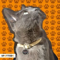 Spotted! Pro Smart Pet Tag – Hondenpenning En Kattenpenning – QR Code – NFC Chip – Small - Ø2.4cm - Zilver -Huisdierbenodigdheden 1200x1200 3032