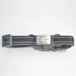 Hondenpenning - ID Penning - ZWART - RVS GROOT Inclusief Graveren