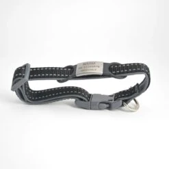 Hondenpenning - ID Penning - ZWART - RVS GROOT Inclusief Graveren -Huisdierbenodigdheden 1200x1200 3035