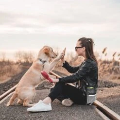 Malony Beloningstasje Voor Honden - Beloningszakje - Poepzakjes Dispenser - Verstelbare Riem - Nylon - Zwart 23 Malony Beloningstasje Voor Honden - Beloningszakje - Poepzakjes Dispenser - Verstelbare Riem - Nylon - Zwart -Huisdierbenodigdheden 1200x1200 3042