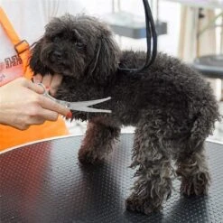 Merkloos Premium Gebogen Trimschaar Honden - Huisdier Trimmen - Hoofd, Poten Ogen & Oren - Kat & Hond Knippen - Veilige Schaar -Huisdierbenodigdheden 1200x1200 307