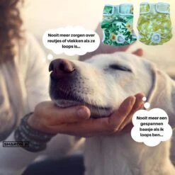 Loopsheidbroekje Hond - Bloemenprint - Maat L - Voor Grotere Teefjes - Herbruikbaar - Hondenbroekje - Hondenluier - Loopsheid - Ongesteldheid - Voorkomt Ongewenste Zwangerschappen Bij Teefjes - Milieuvriendelijk - Verantwoord - Perfecte Pasvorm -Huisdierbenodigdheden 1200x1200 3079