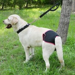 Merkloos Hondenluier Voor Incontinentie En Loopsheid - Luier Voor Teef - Maat XL - Zwart/roze -Huisdierbenodigdheden 1200x1200 3083