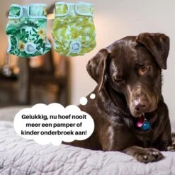 Loopsheidbroekje Hond - Bloemenprint - Maat S - Voor Kleine Honden - Herbruikbaar - Hondenbroekje - Hondenluier - Loopsheid - Ongesteldheid - Voorkomt Ongewenste Zwangerschappen Bij Teefjes - Milieuvriendelijk - Perfecte Pasvorm -Huisdierbenodigdheden 1200x1200 3119