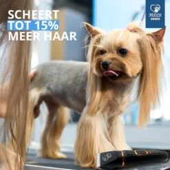 YE™ Professionele Dieren/honden Tondeuse Set Extra Krachtig - Honden Trimmer - Lang Of Kortharige Huisdieren Katten & Honden - Draadloos - Weinig Geluid -Huisdierbenodigdheden 1200x1200 313