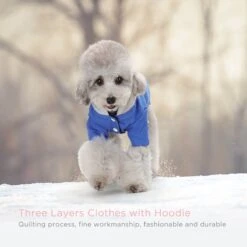 Nobleza Hondenjas - Hoodie Voor Honden - Maat M - Ruglengte 30 Cm - Blauw -Huisdierbenodigdheden 1200x1200 3130