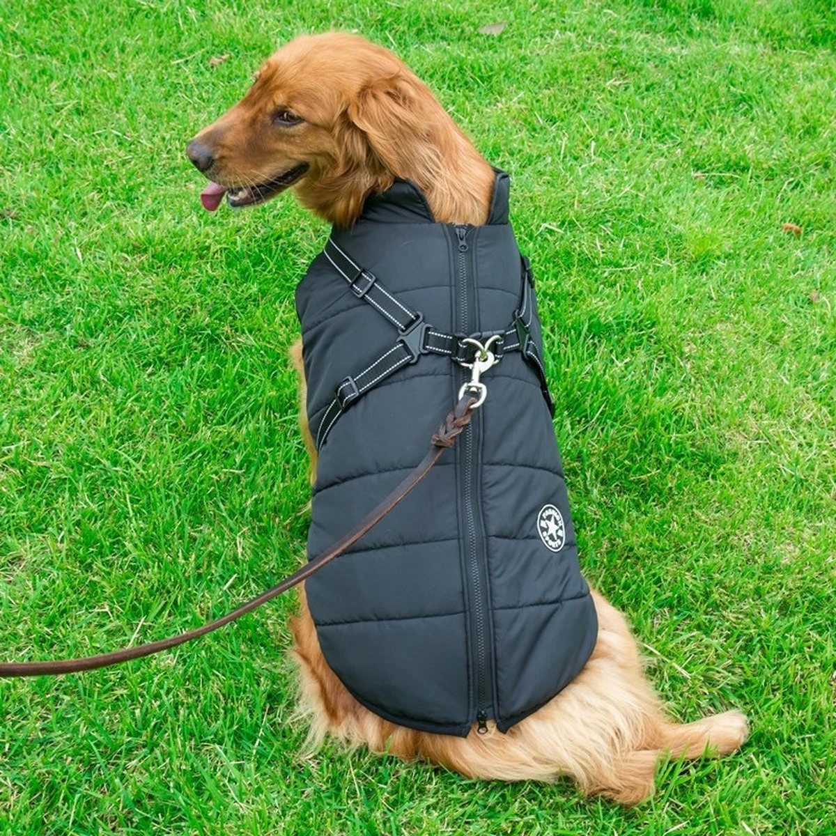 Nixnix - Honden Jas - Maat 3XL - Hondenjas - Kleine Hond - Grote Hond - Waterafstotend - Gevoerd Met Rits - Warme Hondenjas 3 Nixnix - Honden Jas - Maat 3XL - Hondenjas - Kleine Hond - Grote Hond - Waterafstotend - Gevoerd Met Rits - Warme Hondenjas - Afbeelding 3