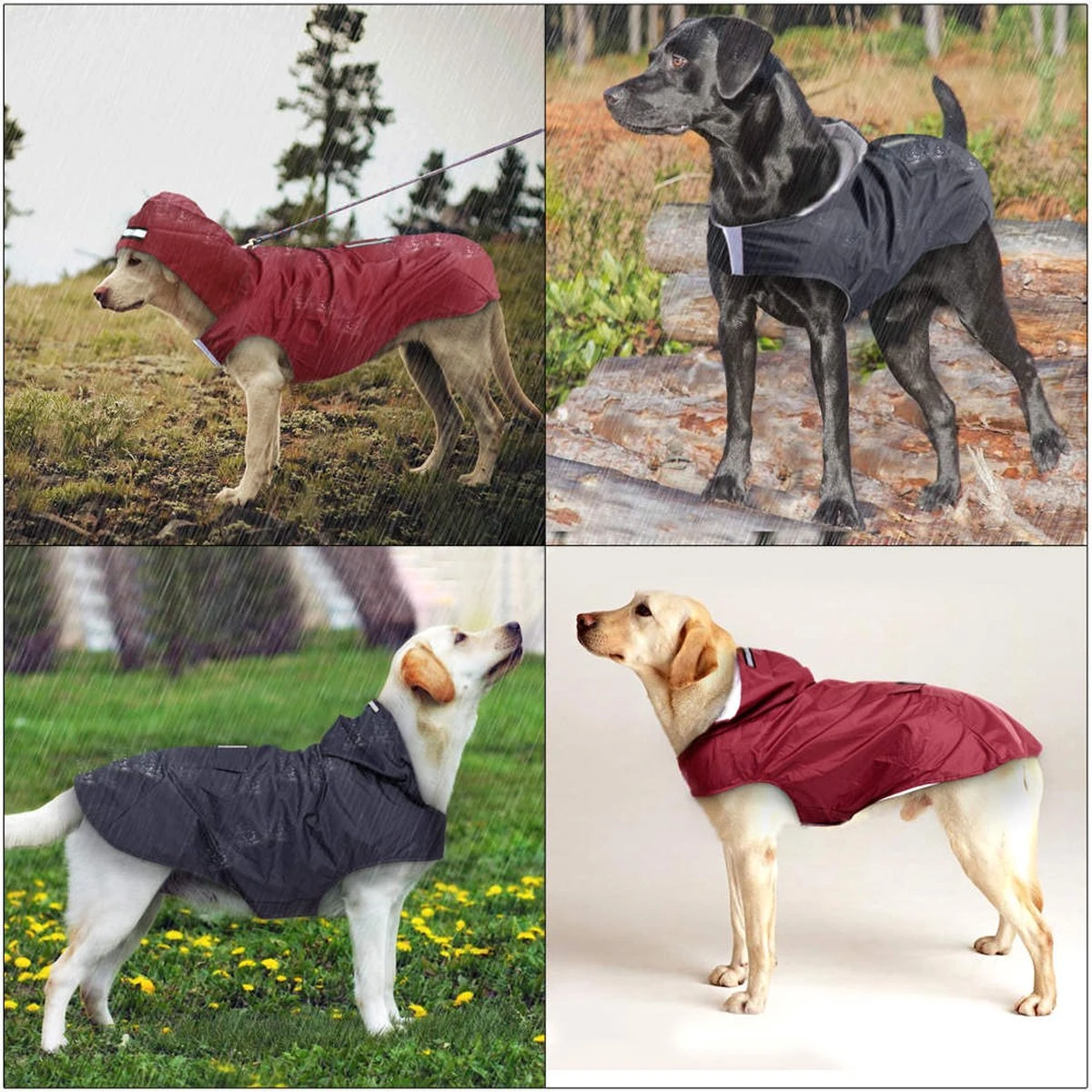 Honden Regenjas Rood - Honden Poncho - Maat 3XL (ruglengte 55cm) 2 Honden Regenjas Rood - Honden Poncho - Maat 3XL (ruglengte 55cm) - Afbeelding 2