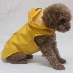 Honden Regenjas Geel - Honden Poncho - Maat XXL (ruglengte 50cm)