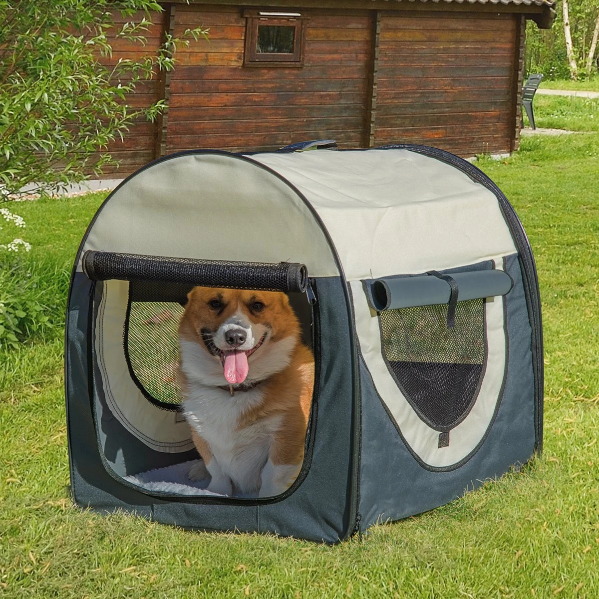 PawHut Hondenbox Inklapbare Hondentransportbox Dier 2 Kleuren 5 Maten 1O-T46O-R3DG-2 2 PawHut Hondenbox Inklapbare Hondentransportbox Dier 2 Kleuren 5 Maten 1O-T46O-R3DG-2 - Afbeelding 2