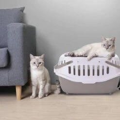 Nobleza 41WSJ - Reisbench - Reismand - Transportbox - 58 X 40 X 42.5 Cm - Grijs -Huisdierbenodigdheden 1200x1200 3191