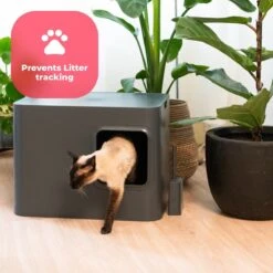 Hoopo® Dome Kattenbak Grijs - Kattenbak - Kattenbakschep - Kattenbakmat -Huisdierbenodigdheden 1200x1200 3224