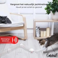 Catchit!® Interactieve Zelfrollende Bal Katten - Kattenspeeltjes - Inclusief USB Kabel En Staartjes - Kattenspeelgoed - Smart - Grijs -Huisdierbenodigdheden 1200x1200 3241