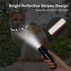 BJØRK™ Kattenhalsband Airtag - Reflecterend - Oranje - Verstelbaar - 20 Tot 30 Cm - Tracker- GPS - Geschikt Voor Apple AirTag - Kattenriem - Katten Accessoire - Halsband Kat Airtag -Huisdierbenodigdheden 1200x1200 3242