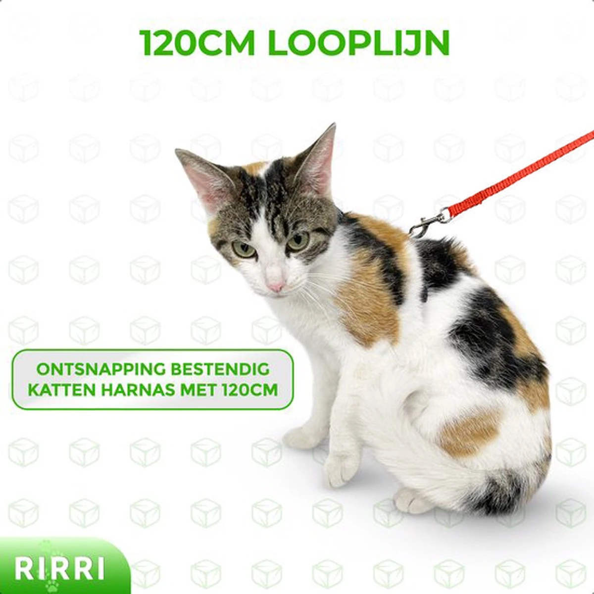 Rirri Kattenharnas Met Looplijn - Kattentuigje Met Looplijn Hoogwaardige Kwaliteit - Rood 2 Rirri Kattenharnas Met Looplijn - Kattentuigje Met Looplijn Hoogwaardige Kwaliteit - Rood - Afbeelding 2