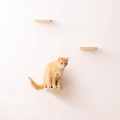 Navaris Katten Klimmuur 3 Tredes - 18 X 18 X 1,5 Cm Per Plankje - Katten Klimwand Van Hout - Inclusief Bevestigingsmateriaal -Huisdierbenodigdheden 1200x1200 3265