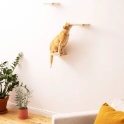 Navaris Katten Klimmuur 3 Tredes - 18 X 18 X 1,5 Cm Per Plankje - Katten Klimwand Van Hout - Inclusief Bevestigingsmateriaal -Huisdierbenodigdheden 1200x1200 3267