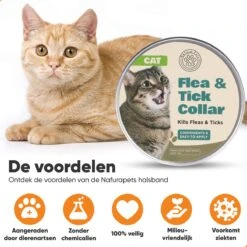 Nafurapets Vlooienband Voor Kat – Anti Vlooien – Teken Band – 100% Natuurlijk – 8 Maanden Bescherming – Grote & Kleine Kat -Huisdierbenodigdheden 1200x1200 3271