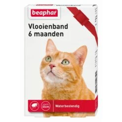 Beaphar Vlooienband Kat - Rood - 1 Stuk -Huisdierbenodigdheden 1200x1200 3275