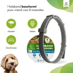 Essential Link Teken- En Vlooienband - Vlooienband Kat/Hond – Anti Vlooien – Vlooienmiddel - Tekenband - Diervriendelijk -Huisdierbenodigdheden 1200x1200 3284