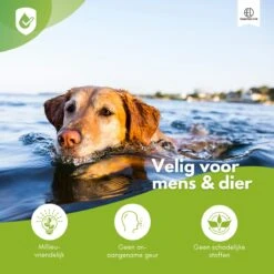 Essential Link Teken- En Vlooienband - Vlooienband Kat/Hond – Anti Vlooien – Vlooienmiddel - Tekenband - Diervriendelijk -Huisdierbenodigdheden 1200x1200 3286