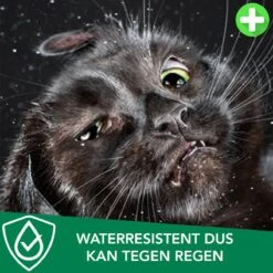 Teken- En Vlooienband Voor Katten PLUS - Natuurlijk Middel Tegen Vlooien En Teken - 100% Natuurlijk - 38,5 CM - Tot 8 Maand Werkzaam - Biologisch -Huisdierbenodigdheden 1200x1200 3288