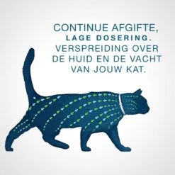 Seresto Teken- En Vlooienband - Anti Tekenmiddel - Kat - 38 Cm 29 Seresto Teken- En Vlooienband - Anti Tekenmiddel - Kat - 38 Cm -Huisdierbenodigdheden 1200x1200 3292