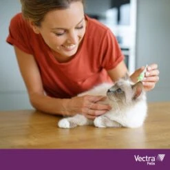 VECTRA Felis - Vlooiendruppels - Voor Katten 0.6 T/m 10 Kg - 3 Pipetten 7 VECTRA Felis - Vlooiendruppels - Voor Katten 0.6 T/m 10 Kg - 3 Pipetten -Huisdierbenodigdheden 1200x1200 3305