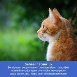 Sensipharm Urologist Aid Voor Kat, Hondje, Cavia, Konijn - Bij Blaasontsteking, Blaasgruis, Struviet, Oxalaat & Nierstenen - 90 Tabletten à 250 Mg -Huisdierbenodigdheden 1200x1200 3312