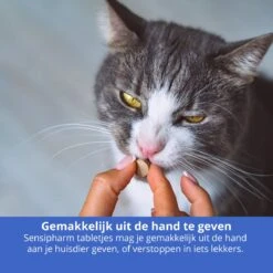 Sensipharm Urologist Aid Voor Kat, Hondje, Cavia, Konijn - Bij Blaasontsteking, Blaasgruis, Struviet, Oxalaat & Nierstenen - 90 Tabletten à 250 Mg -Huisdierbenodigdheden 1200x1200 3314