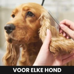 Hondentondeuse - Honden & Katten - Trimmer - Geluidsloos -Huisdierbenodigdheden 1200x1200 332