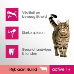 Perfect Fit Active 1+ Katten Droogvoer - Rund - 4 X 750 Gr 9 Perfect Fit Active 1+ Katten Droogvoer - Rund - 4 X 750 Gr -Huisdierbenodigdheden 1200x1200 3326